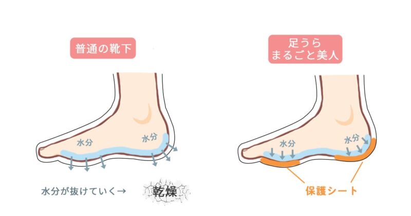 靴下のしくみのイラスト